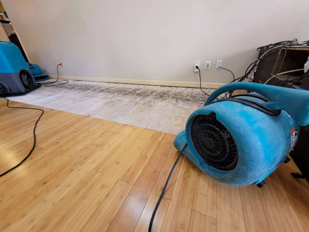 Professional Water Damage Repair technician working in Ashford, WA